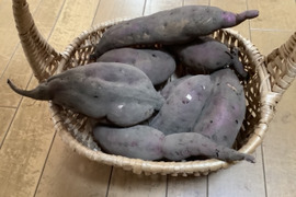 サツマイモ紅あずま大小ミックス（3㎏）【栽培期間中農薬不使用・自然栽培】