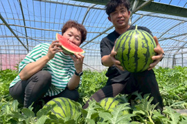 ぷちっと　お試しサイズ