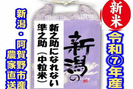 新米・令和7年産新潟　新之助になれない準之助　色彩選別済　※お値打ちな、クラフト袋入白米10キロ２個★農家直送　新之助訳あり　家庭用まかない用【中粒米】の数量限定販売を始めました。