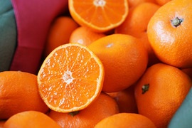 蔵出しみかん丹生系10kg｜和歌山県海南市下津町産。晩生みかんの最高級品種