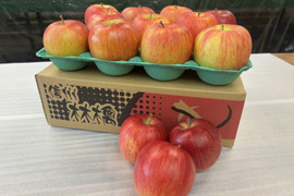 おやつ感覚で！？そのままパクっと！甘くてジューシー！長野県シナノスイート小玉2.8㎏