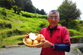 田口農園徳島「イチオシ旬野菜セット」
【たっぷりいろいろ　２０００円セット】農家人が選ぶ旬野菜のおまかせセットです。季節ごとの旬の世界農業遺産ブランド野菜を厳選してお届け致します。