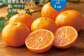 のんたん和歌山有田みかん　高糖度系小玉(2s~3s)サイズ　10kg×2箱 前回即完売】糖度最高クラス！有田みかん 5キロ箱 和歌山県 有田