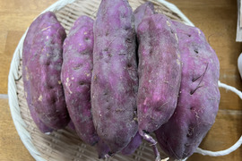 【淡路島から初秋のお届け】どーんとさつまいも3kg