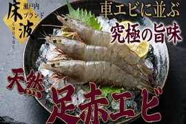 🦐知る人ぞ知る天然の濃厚甘味エビ🦐トロけるしっとり弾力が堪らない幻の希少海老☆天然国産『足赤エビ』約500g長州床波ブランド【9月上旬予約】