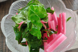 ✨【色彩の宝石箱】農薬・化学肥料不使用で育てた、鮮やかスイスチャード 約700g✨