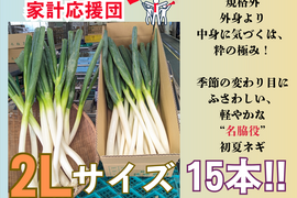 外身より中身に気づくは、粋の極み！規格外　２Lサイズ（15本）
