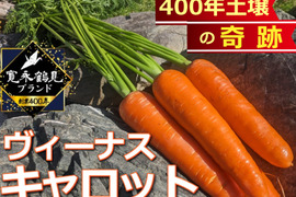 【日テレ出演で話題】💡美容大国韓国も注目『ビタミンの宝庫』400年土壌に眠る美の象徴ヴィーナスキャロット🥕【お得な大容量約2キロ】