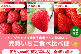 【限定100セット】いちごグランプリ受賞いちご食べ比べ便【Bコース】（食べチョク公式）