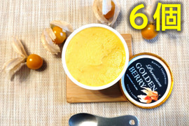 果実の美味しさを味わえるゴールデンベリープレミアムアイス（食用ほおずきアイス）120ml×6個入り