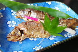 清流で育った虹鱒の甘露煮！骨まで食べれマス！8尾入り3袋！