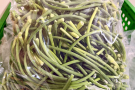 【訳あり品:半額】国産希少！くわはら農園の8片(嘉定種)にんにくの芽　1kg　農薬・化学肥料不使用