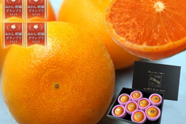 🏆みかん柑橘グランプリ2026最高金賞含む最多４部門受賞の木熟せとか！大感動！樹上完熟させた濃厚な甘みの大トロせとか！とろける甘さと上品な味わい！「木熟せとか」厳選プレミアム　約１ｋｇ【400】