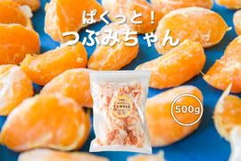 冷凍ミカン（有田みかん） ぱくっとつぶみちゃん  500g×1袋　850