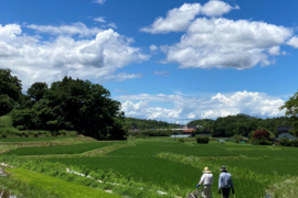 【令和4年新米・白米・特A】5㎏ こだわり米　きぬむすめ　栽培期間化学肥料不使用