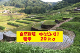 【令和7年新米】自然栽培「ゆうだい２１」精米　２０ｋｇ