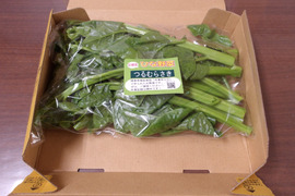 つるむらさきの通販｜その他葉物野菜｜食べチョク｜産地直送