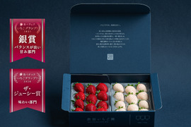 【紅白いちごセット】【🥈いちごグランプリ2025銀賞受賞】最高鮮度でお届け！ 希少な完熟パールホワイト&いちごさん　紅白いちご食べ比べセット【2パック/500g】ギフト/贈答用/ご家庭用