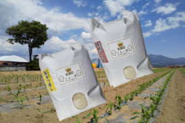 新米ゆめぴりか、ななつぼしのブレンド米