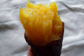 【訳あり】追熟後、ねっとり甘い！砂丘の紅はるか(５kg)