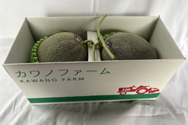 肥後グリーンメロン特大2玉