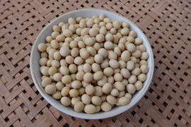 【自然栽培】黄大豆（小袋200g）