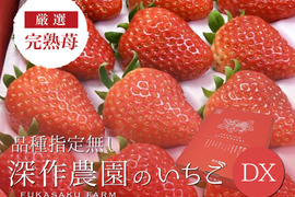 苺（いちご・イチゴ） 品種指定無し【デラックス】