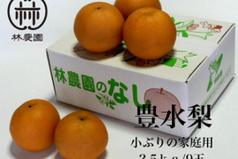 甘みと酸味のバランスが最高！豊水梨（家庭用）　約2.5kg(9玉)　小ぶり