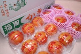 冷蔵柿（富有柿）15個入りLサイズ 　福岡県久留米市田主丸町産