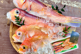 【白身魚の食べ比べ】甘鯛 × レンコダイ セット（合計２kg）