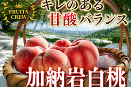 【キレのある甘酸バランス】加納岩白桃🍑本場山梨の品種指定キャンペーン🍑軽やか食味の上質白桃☆ギフトにも家庭用にも✨お試し約1㎏🍑6月下旬～発送🍑