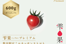 数量限定！ルネッサンストマト【雫果（しずか）プレミアム】600g・ギフトボックス