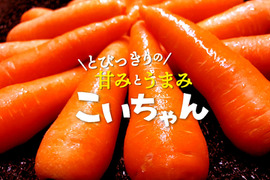 【大好評！】とびっきりの甘みとうまみ！濃厚なにんじん「こいちゃん」（訳あり！加工用約10kg）