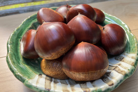 筑波の通販｜栗｜食べチョク｜産地直送(産直)お取り寄せ通販 - 農家
