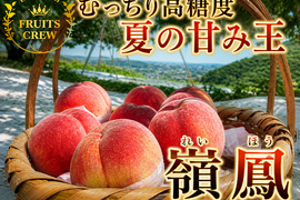 【むっちり高糖度"夏の甘味王” 嶺鳳】本場山梨の品種指定キャンペーン🍑弾力食感×濃厚な甘み✨お試し約1㎏🍑7月上旬～中旬発送🍑