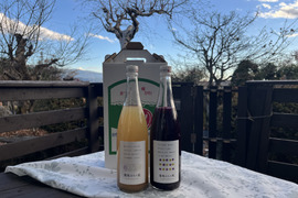 【ゲン担ぎ福袋】ワイン用ぶどうで作ったジュース　赤白品種各1本　飲み比べセット　720ml✖️2本