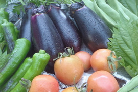 『体にやさしい。家計にうれしい！』旬の野菜セット／4〜6品目箱いっぱい