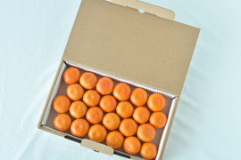 有田みかん　船林-ふなりん-[24個入]（Sサイズ相当）贈答用 超特選品　赤秀　和歌山 311-fr24