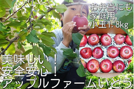 サンふじ　1.8～1.9キロ家庭用【小玉りんご】葉とらず　平均糖度15.5度・JA基準より60％減の低農薬栽培