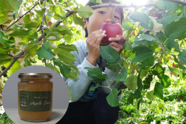 【リピーターさん増加中！】安曇野サンふじを使った無添加ジャム2本セット！（大瓶260ｇ）【JA基準より60％減の低農薬栽培】