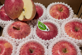 肥料・堆肥なし栽培りんご
「有袋ふじ」 ご自宅向け　約2.5kg(8〜10個)