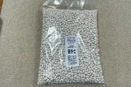 肥料・農薬不使用の自然17年の銀手亡　1ｋｇ