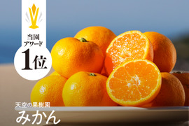 みかん そらみかん 天空の果樹園 愛媛産みかん 2.5kg