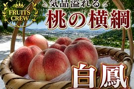 【桃の横綱気品あふれる白鳳】本場山梨の品種指定キャンペーン🍑王道の甘み×爽やか酸味☆夏ギフトの定番🍑お得な大容量パッケージ約2㎏🍑7月上旬～発送🍑