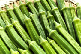 オクラ 柔らかトロうま！口の中で弾けるプチプチの種！＜20本/約250g＞