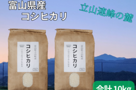 【新米予約】令和6年度産　富山県立山町　立山連峰の麓で育ったコシヒカリ　10kg（5kg×2）