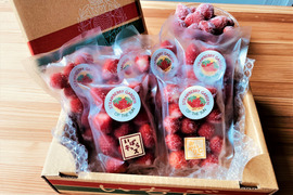 冷凍いちご 1袋(110g)×6袋 朝採りいちごの美味しさそのまま冷凍！※砂糖・添加物不使用