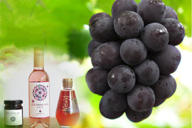 花笑み農園　ニューピオーネと加工品セット（ピオーネジャム＆飲む酢＆ピオーネワイン）【9/7～順次発送】P-JWN
