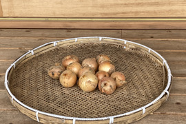 農薬・化学肥料不使用　玉ねぎ　箱込　２ｋｇ