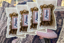 うまさ凝縮！熊本県産原木乾燥しいたけ【小袋】280ｇ（70ｇ×4個）